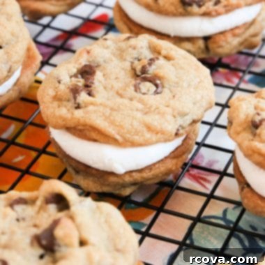 Gooey Smores Cookie Stacks 6 Perfect S'mores Cookie Sandwiches with graham cracker cookies and marshmallow creme filling