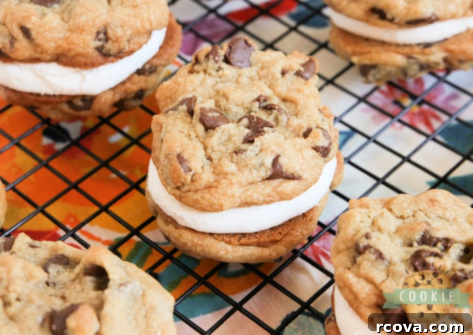 Gooey Smores Cookie Stacks 7 Beautifully arranged S'mores Cookie Sandwiches on a white plate, showcasing their inviting texture.