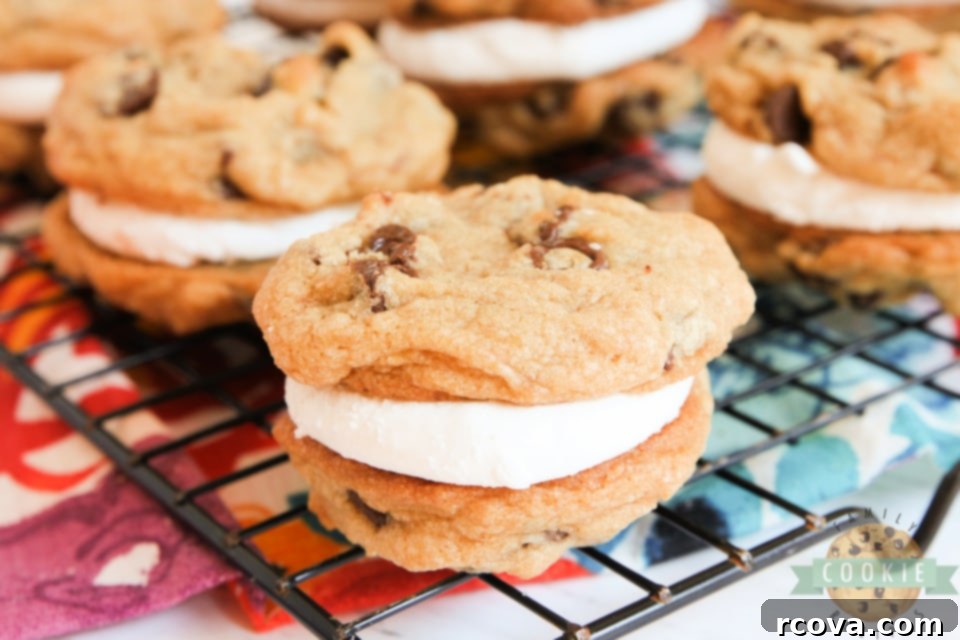 Gooey Smores Cookie Stacks 8 Freshly baked graham cracker chocolate chip cookies, the base for S'mores Cookie Sandwiches.