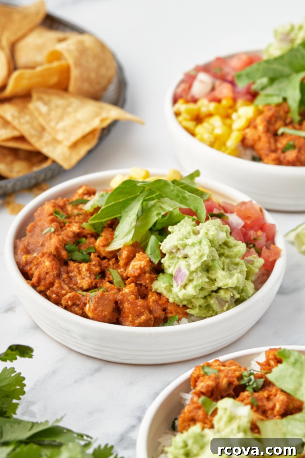 Tofu Transformed: 17 Irresistible Dishes 20 Easy Homemade Sofritas, a Chipotle copycat filling for burritos or tacos.