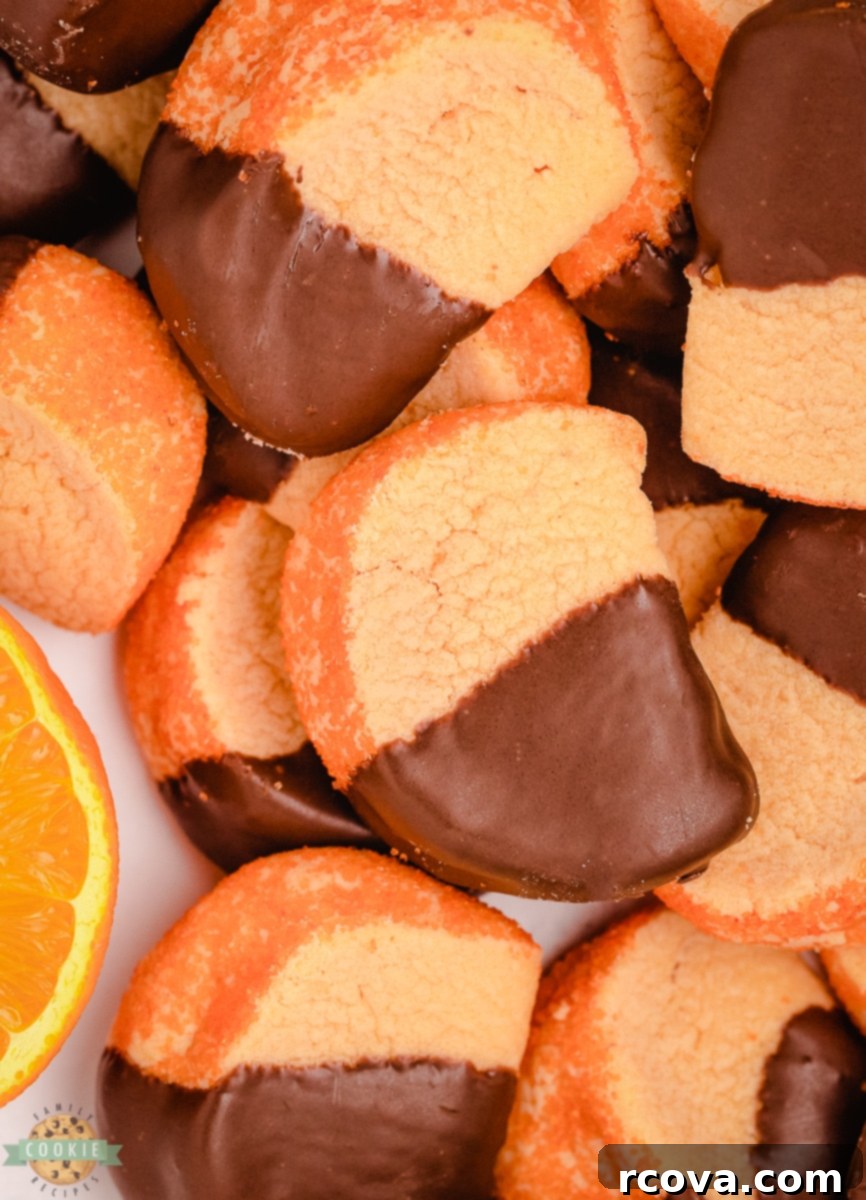 Zesty Chocolate Orange Cookies 2 orange slice cookies