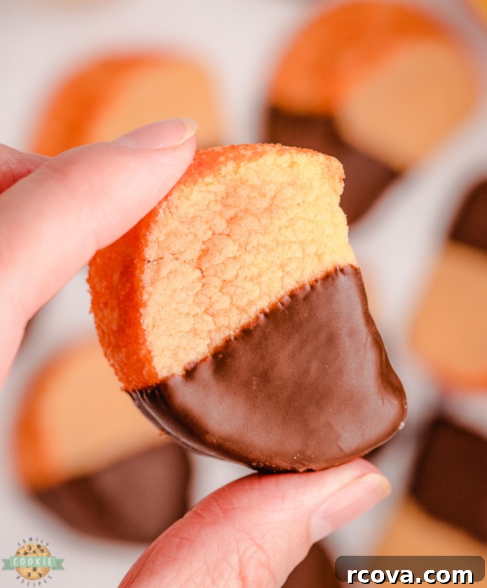 Zesty Chocolate Orange Cookies 13 holding an orange slice cookie
