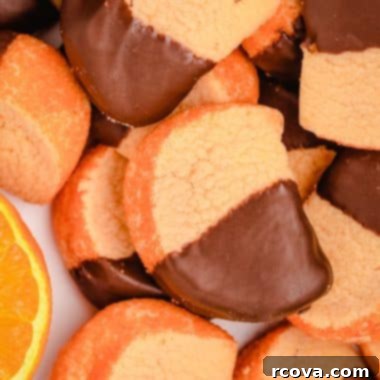 Zesty Chocolate Orange Cookies 8 orange slice cookies