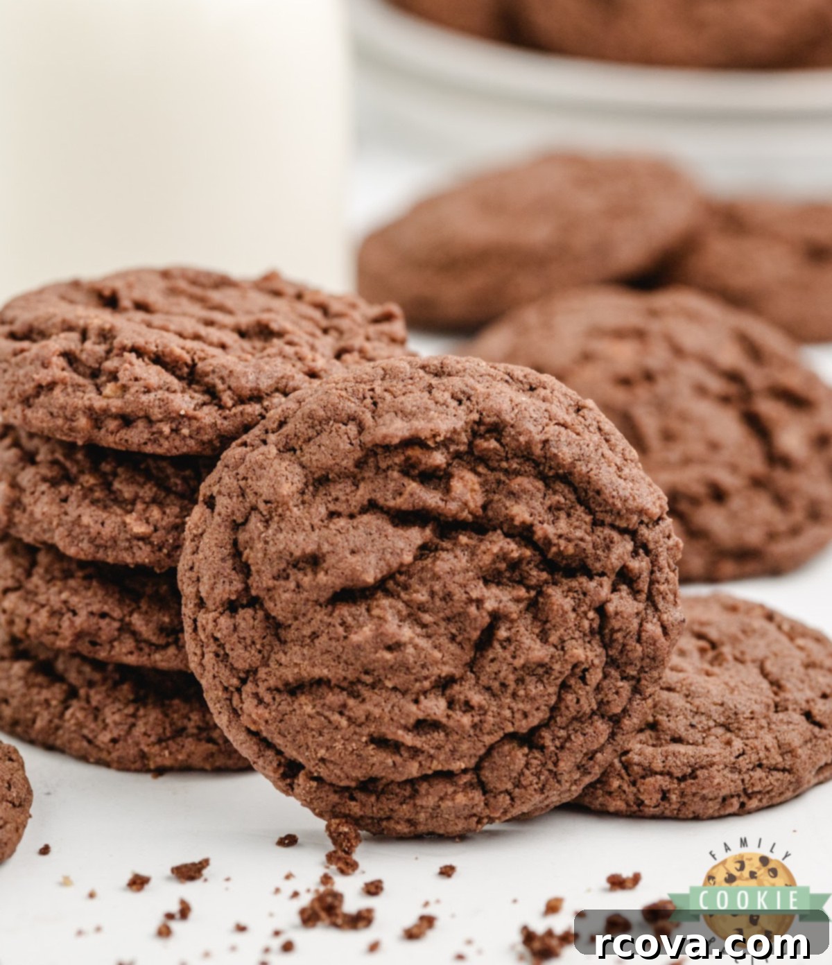 Decadent Chocolate Graham Bites 2 Close-up of a stack of chocolate graham cracker cookies, showing their chewy texture and rich brown color.