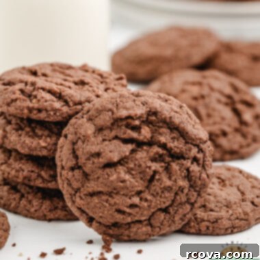 Decadent Chocolate Graham Bites 6 Delicious Chocolate Graham Cracker Cookies