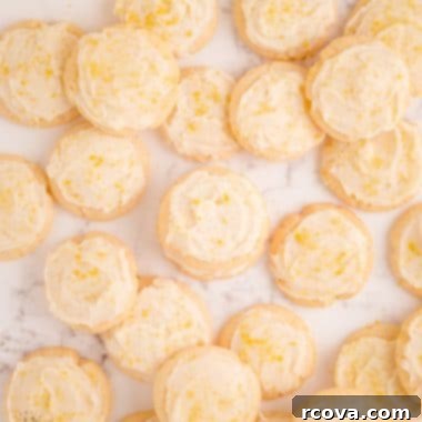 Sugar Cookie Morsels 7 Frosted Mini Sugar Cookie Bites