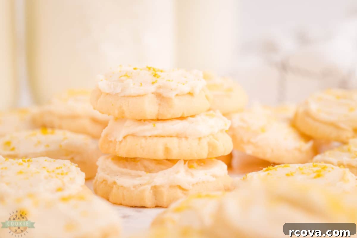 Sugar Cookie Morsels 8 Mini sugar cookies piled in an airtight container for storage