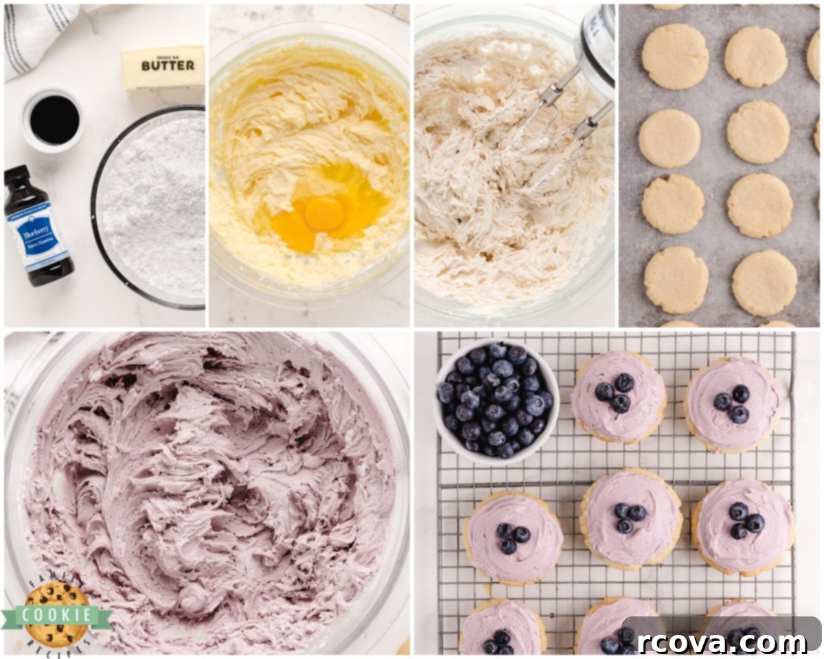 Step-by-Step Guide for Blueberry Sugar Cookies An overhead shot showing the step-by-step process of making blueberry sugar cookies.