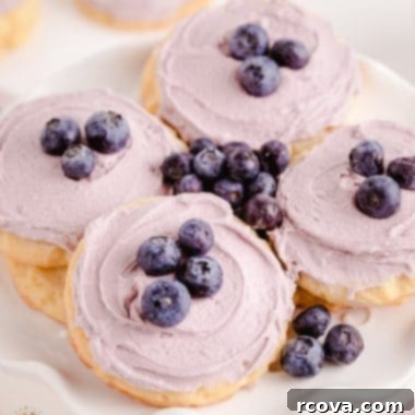 Sweet Blueberry Delights 2 Blueberry Sugar Cookies with frosting and fresh berries