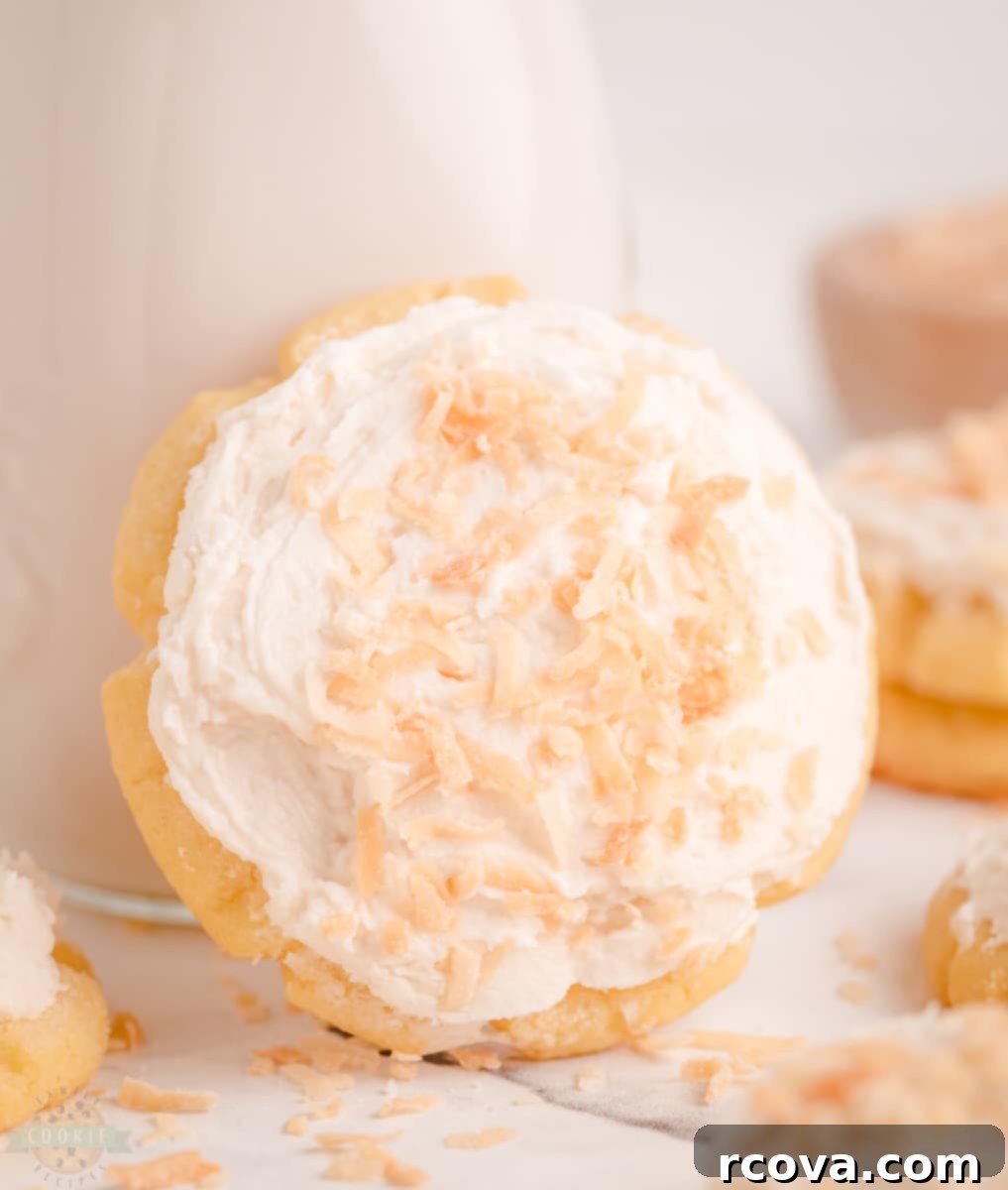 Tropical Coconut Cookies 4 Ingredients for coconut sugar cookies laid out