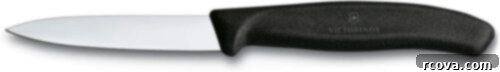 Ultimate Kitchen Setup 7 A small, sharp paring knife, perfect for intricate tasks.