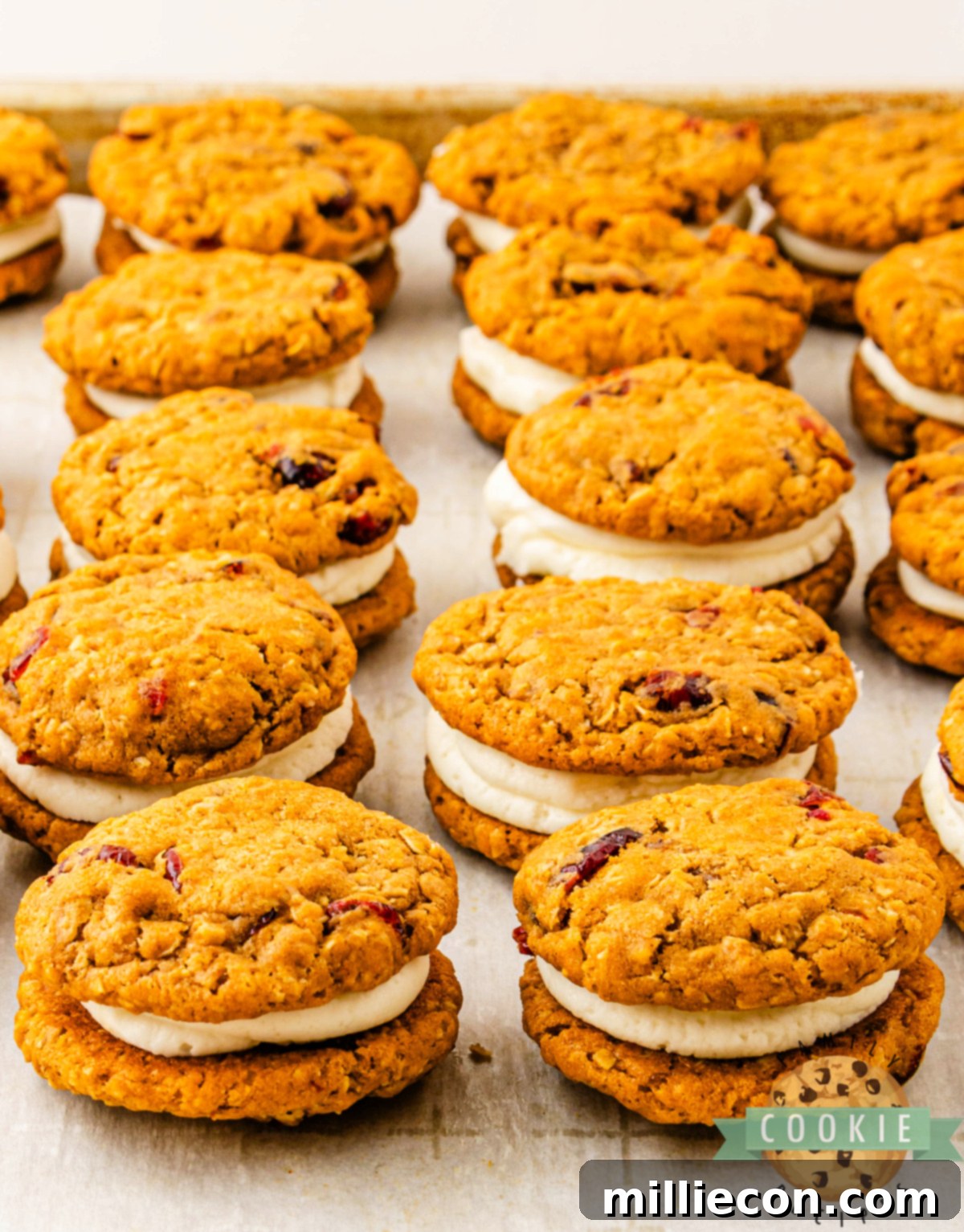 Spiced Pumpkin Cranberry Oatmeal Sandwich Cookies 6 Pumpkin cranberry sandwich cookies with cream cheese filling arranged neatly on parchment paper.
