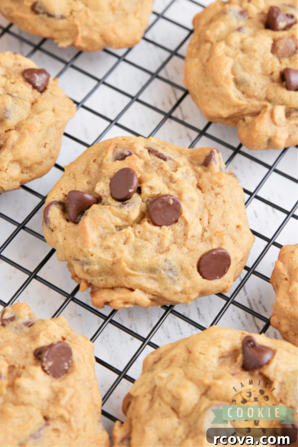 Golden Pumpkin Chocolate Oat Delights 2 Soft, moist Pumpkin Oatmeal Chocolate Chip Cookies loaded with pumpkin, oats, and chocolate chips. A perfect fall cookie recipe.