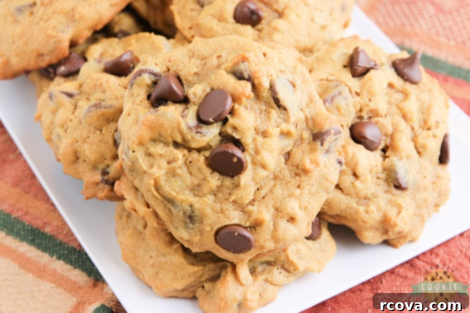 Golden Pumpkin Chocolate Oat Delights 3 Close-up of baked Pumpkin Oatmeal Chocolate Chip Cookies showing the texture of oats and melted chocolate chips. Perfect for fall!