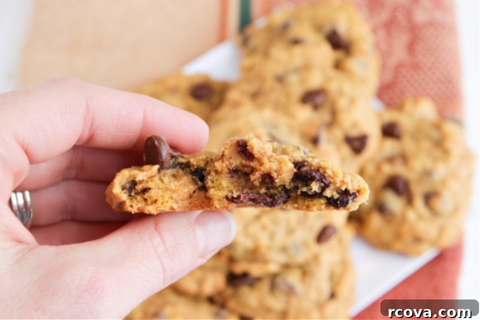 Golden Pumpkin Chocolate Oat Delights 6 Pumpkin cookies with oats and chocolate chips stacked on a cooling rack, showcasing their soft texture.