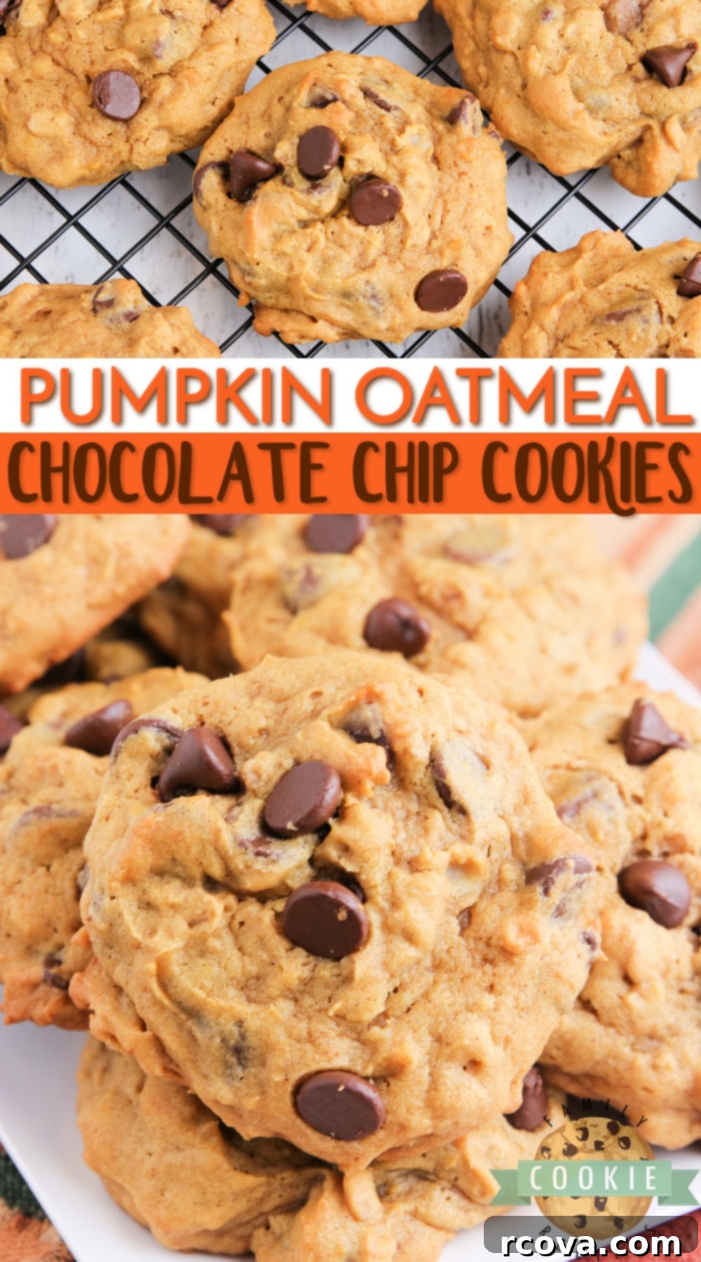 Golden Pumpkin Chocolate Oat Delights 9 Close-up of a perfectly baked Pumpkin Oatmeal Chocolate Chip Cookie, showing its moist texture and generous chocolate chunks.