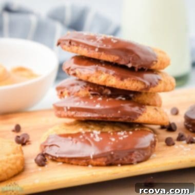 Irresistibly Chewy Peanut Butter Bliss 7 Peanut Butter Cookies Dipped in Chocolate