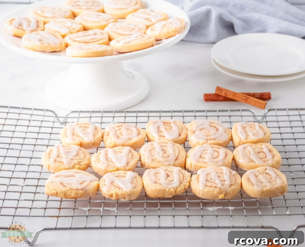 Cinnamon Bun Bliss Cookies 3 Tray of unbaked cinnamon roll cookies showing the distinct swirl pattern before baking.