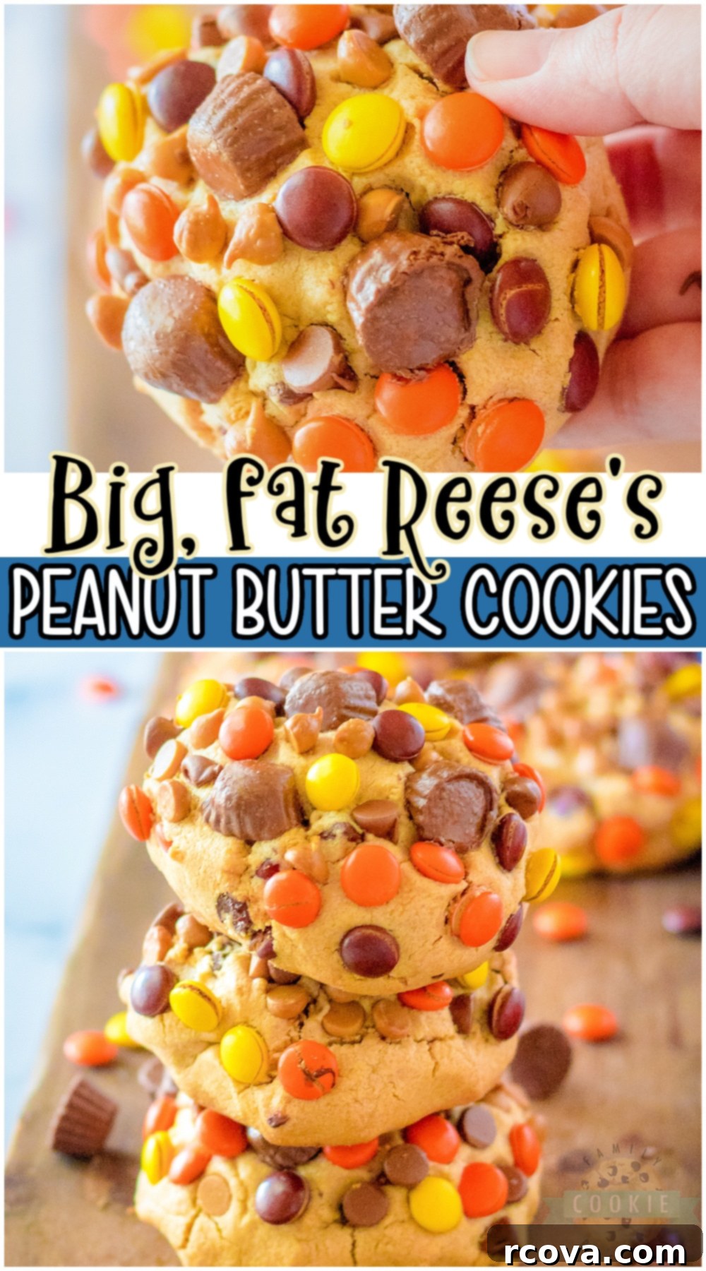 Ultimate Giant Reese's Peanut Butter Cookies 11 Reese’s Peanut Butter cookies loaded with Reese’s Pieces, peanut butter & chocolate chips, and Reese's Cups! Big, fat cookies packed with great peanut butter chocolate flavor that everyone loves! #cookies #bigfat #peanutbutter #reeses #easyrecipe from FAMILY COOKIE RECIPES