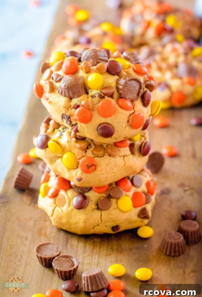 Ultimate Giant Reese's Peanut Butter Cookies 3 Close-up of a giant Reese's Peanut Butter Cookie, showcasing its thick, chewy texture and visible Reese's candy pieces.