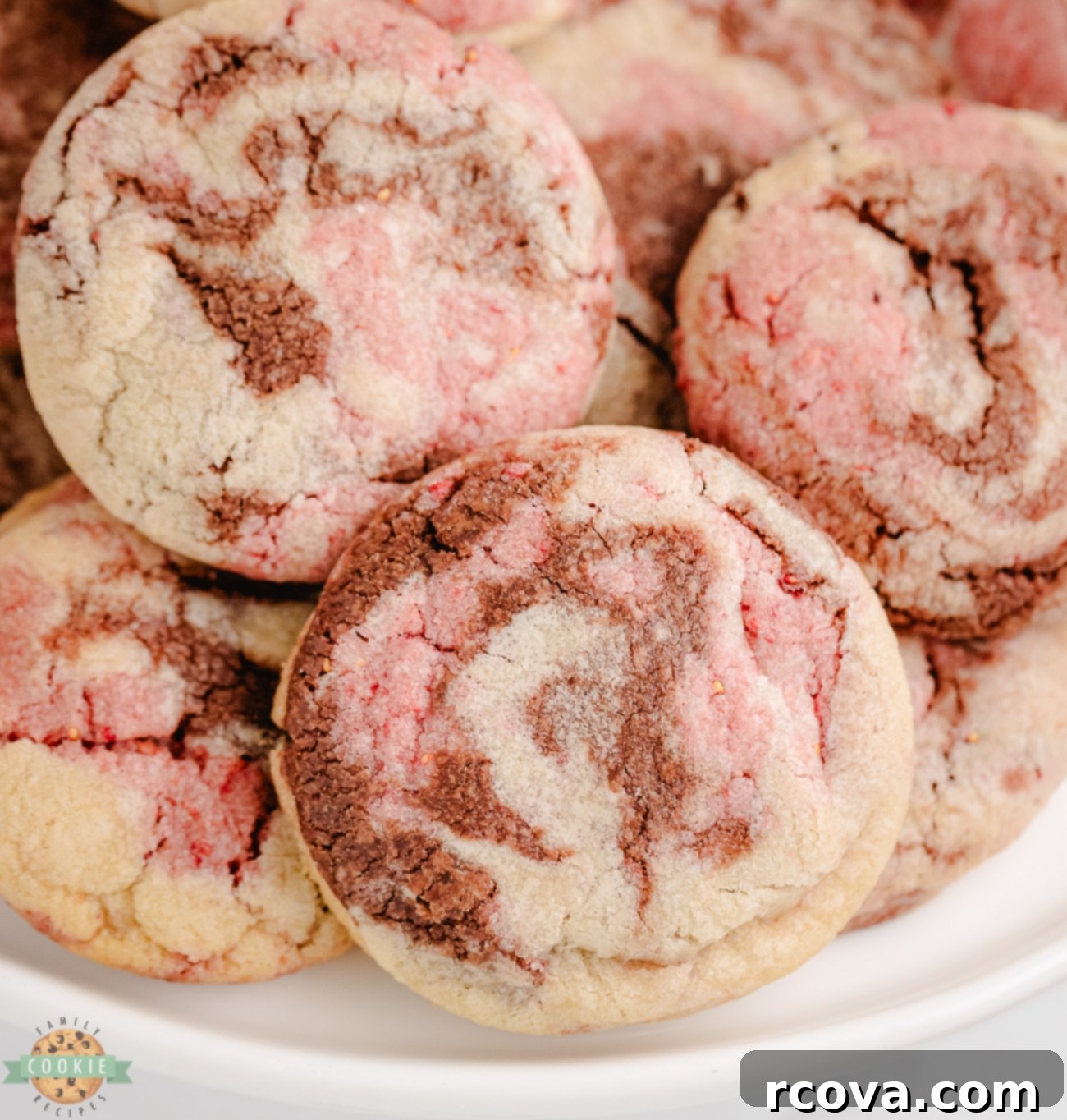 Tricolor Vanilla Delights 2 swirled neapolitan cookies - a delightful combination of vanilla, strawberry, and chocolate cookie dough
