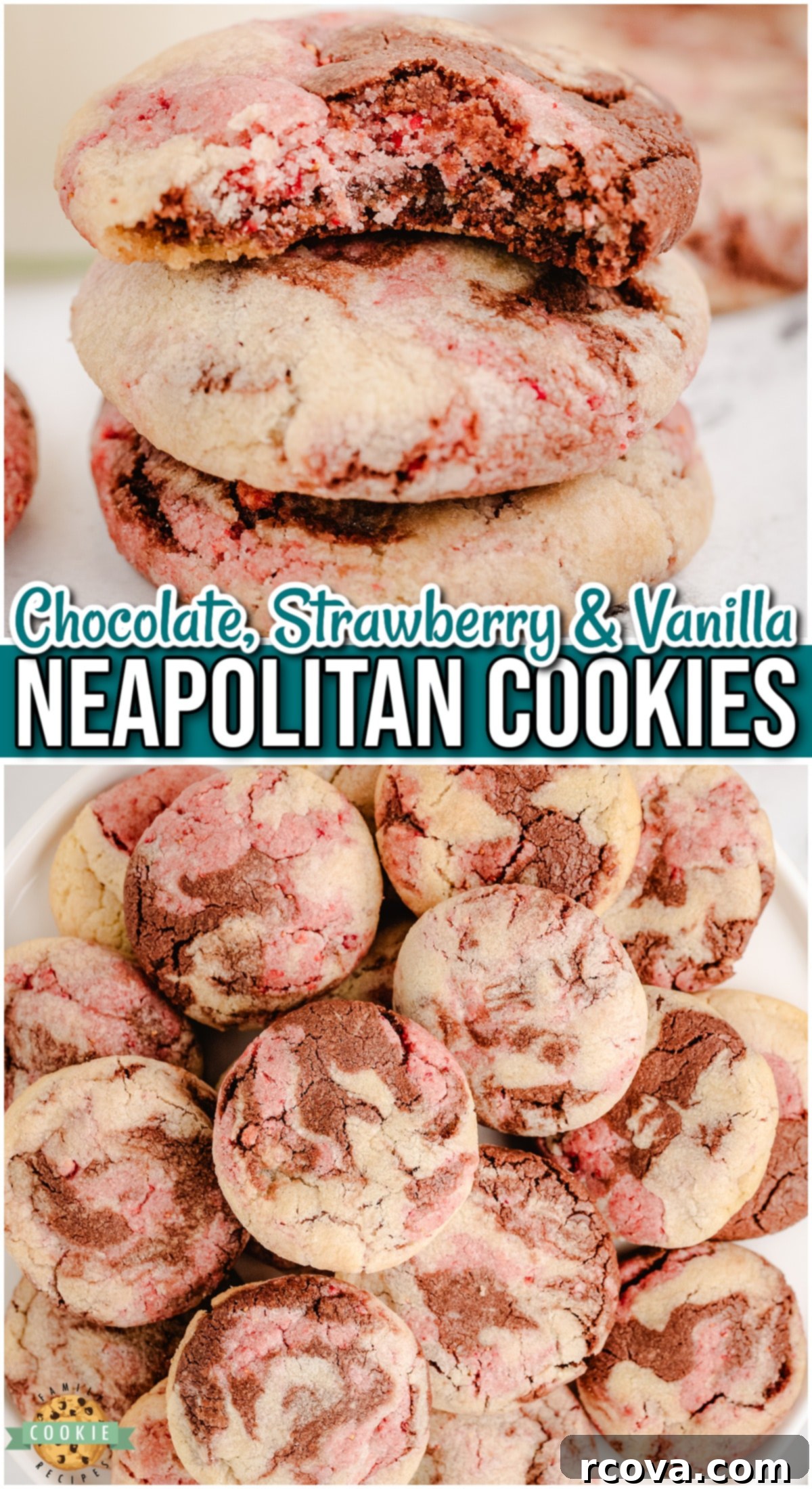 Tricolor Vanilla Delights 10 Neapolitan cookies are soft & chewy cookies that combine strawberry, chocolate & vanilla flavors, just like the popular ice cream flavor!