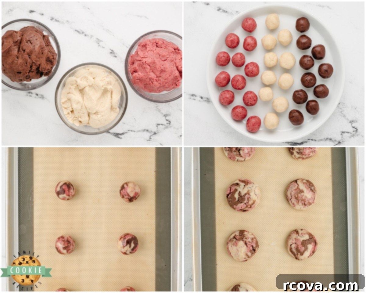Tricolor Vanilla Delights 4 finished neapolitan cookies with colorful swirls of vanilla, strawberry, and chocolate