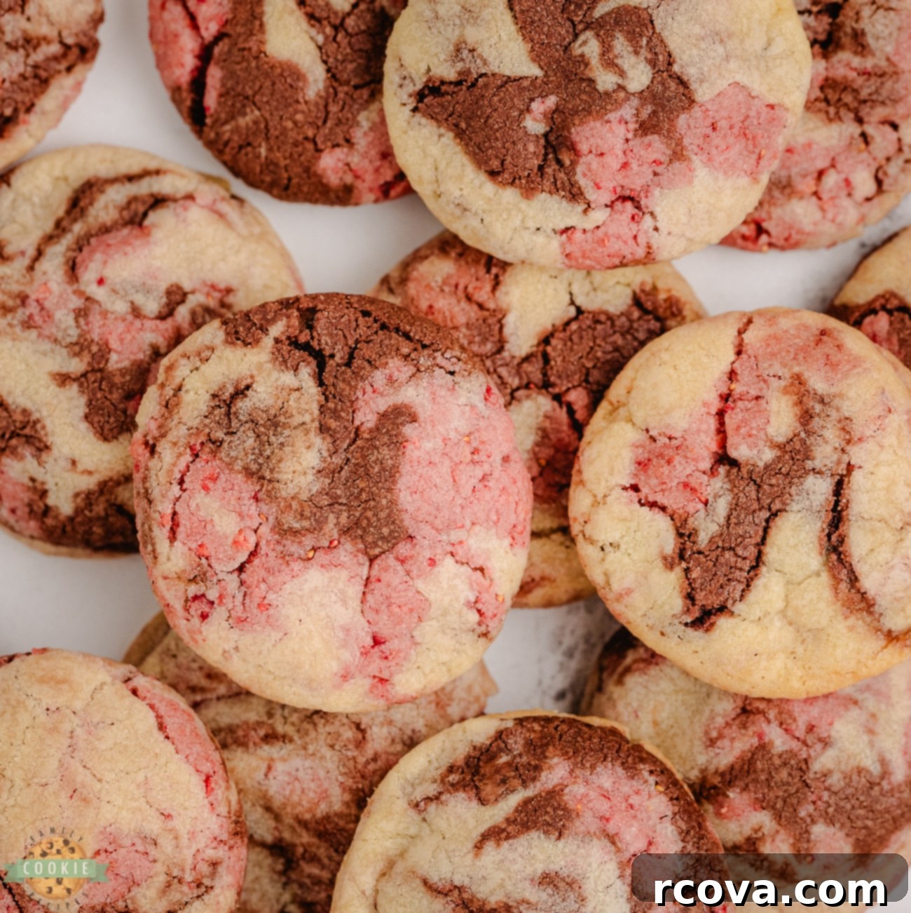 Tricolor Vanilla Delights 5 neapolitan cookies with beautiful swirls of chocolate, strawberry and vanilla cookie dough on a cooling rack