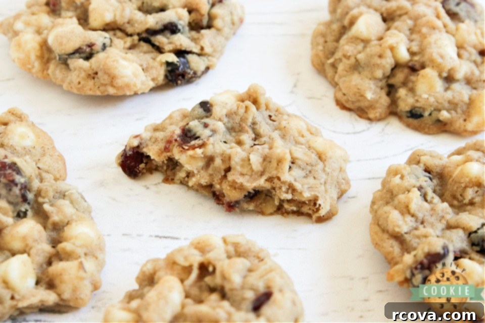 Blissful Berry White Chocolate Oat Cookies 3 White Chocolate Cranberry Oatmeal Cookies fresh out of the oven, cooling on a baking sheet.