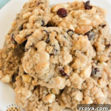 Blissful Berry White Chocolate Oat Cookies 6 img 6371 5