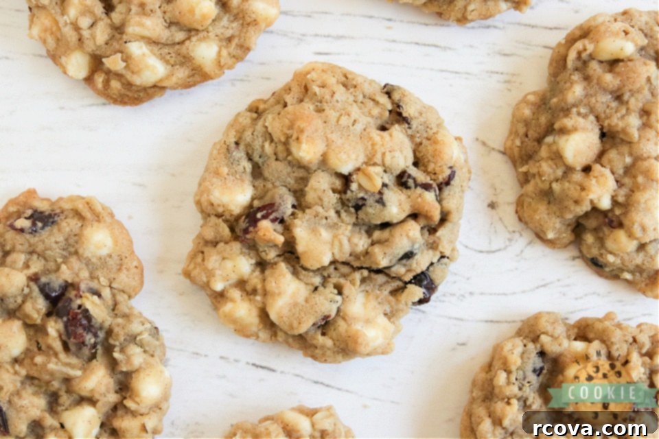 Blissful Berry White Chocolate Oat Cookies 7 A stack of freshly baked White Chocolate Cranberry Oatmeal Cookies.