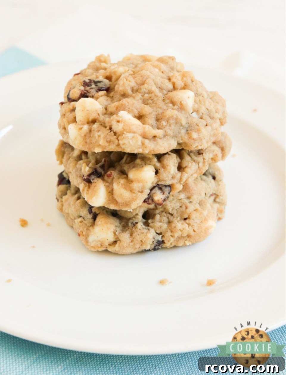 Blissful Berry White Chocolate Oat Cookies 8 A close-up of a White Chocolate Cranberry Oatmeal Cookie, showing its texture and ingredients.