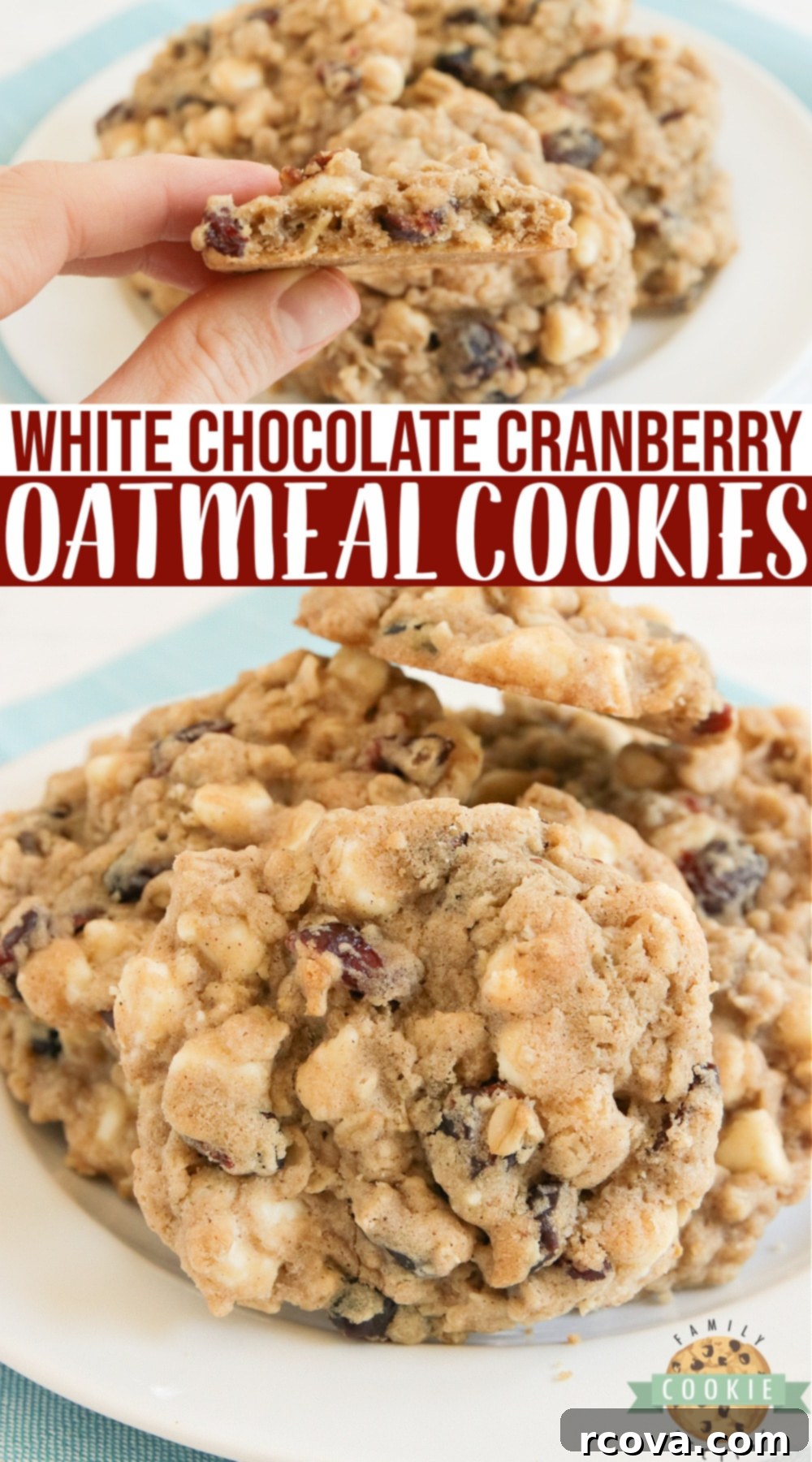 Blissful Berry White Chocolate Oat Cookies 9 A large pile of White Chocolate Cranberry Oatmeal Cookies, ready to be enjoyed.