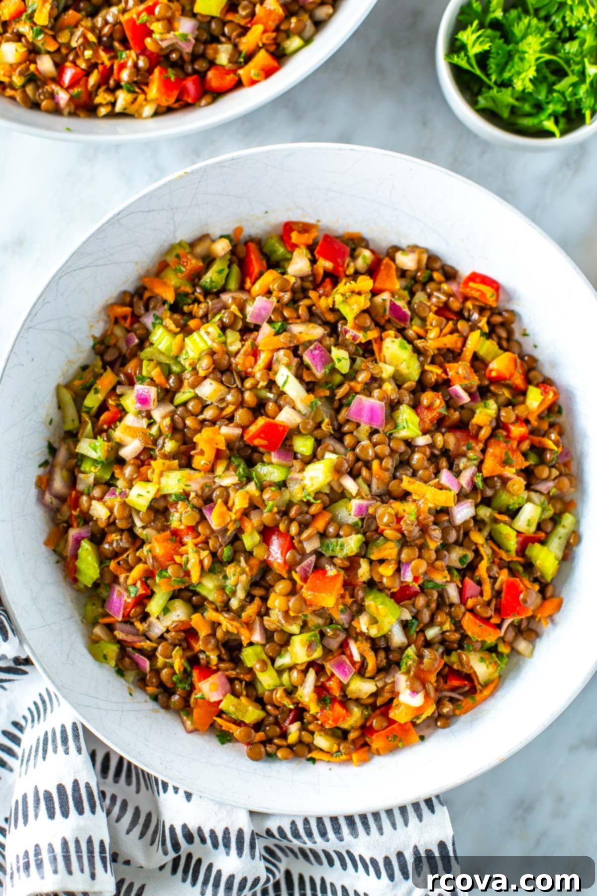 The Ultimate Lentil Salad Recipe 7 A close-up shot of a single serving of fresh lentil salad in a white bowl, showing the vibrant colors and textures of the ingredients.