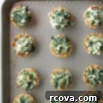 Flaky Spanakopita Party Delights 2 spanakopita party bites