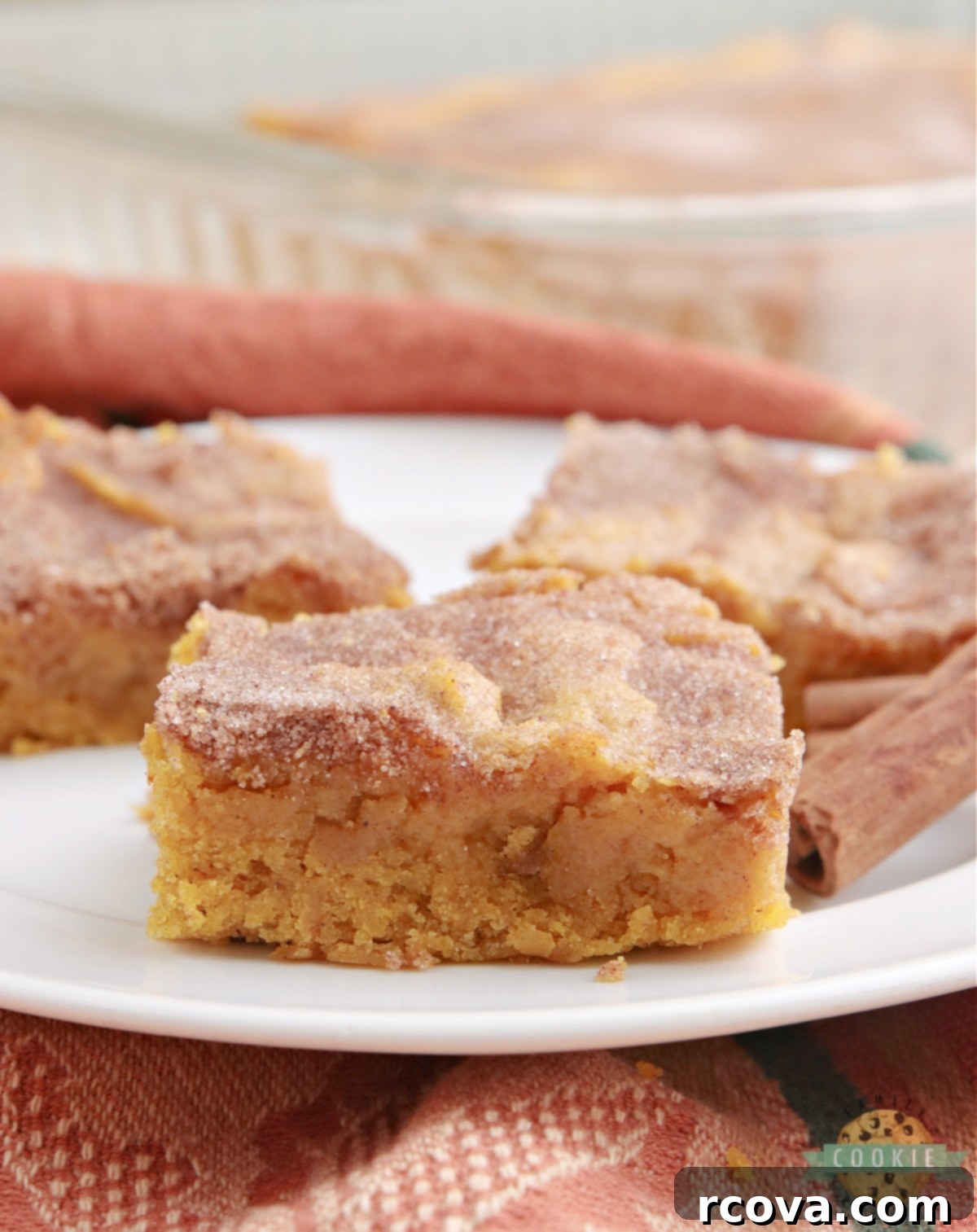 Irresistible Pumpkin Snickerdoodle Bars 2 With warm spices, a sweet cinnamon sugar topping, and plenty of pumpkin flavor, these Pumpkin Snickerdoodle Cookie Bars are a simple fall dessert that everyone will love.