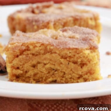 Irresistible Pumpkin Snickerdoodle Bars 6 Pumpkin Snickerdoodle Cookie Bars with cinnamon sugar topping.