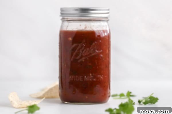 Quick Blender Salsa 3 Homemade Blender Salsa