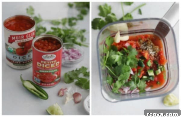 Quick Blender Salsa 5 Homemade Blender Salsa