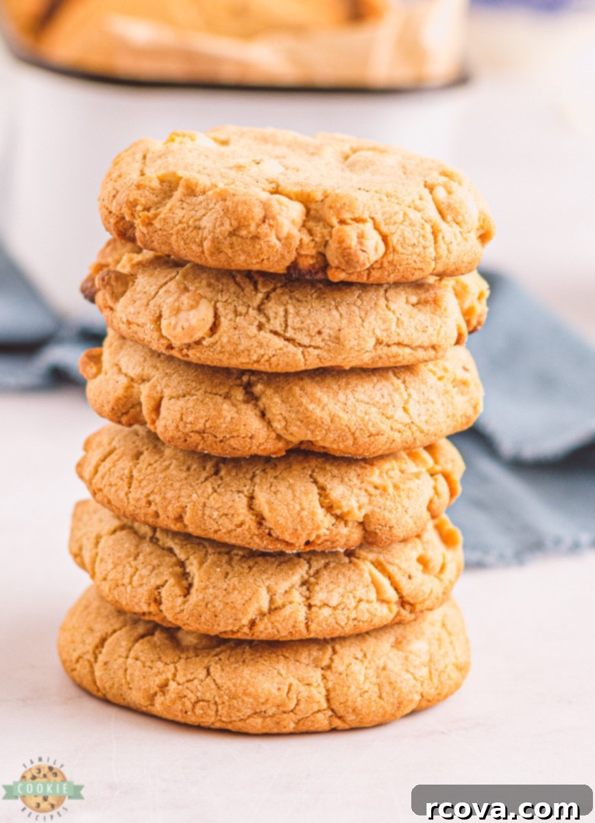 Spiced White Chocolate Crunch Cookies 2 Crunchy white chocolate cinnamon cookies, perfect for holidays