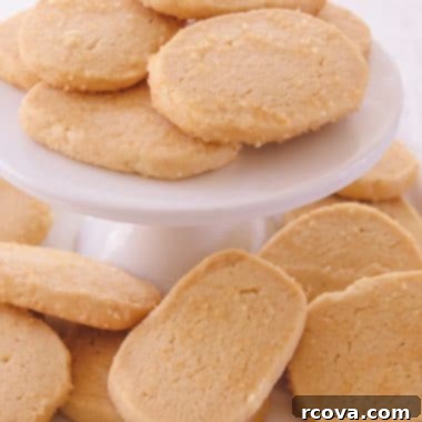 Effortless Vanilla Butter Delights 6 A perfectly baked vanilla butter cookie, round and golden, dusted with turbinado sugar.