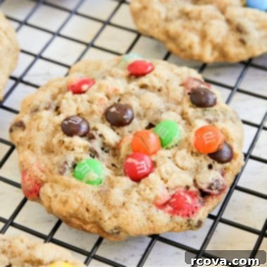 Colorful M and M Oatmeal Cookies 6 Perfectly baked M&M Oatmeal Cookies on a white plate.