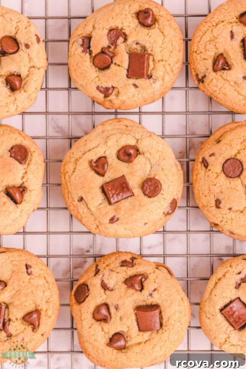 Spiced Citrus Chocolate Chip Cookies 5 Mixing cookie dough in a stand mixer.