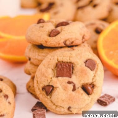 Spiced Citrus Chocolate Chip Cookies 6 Orange Cinnamon Chocolate Chip Cookies