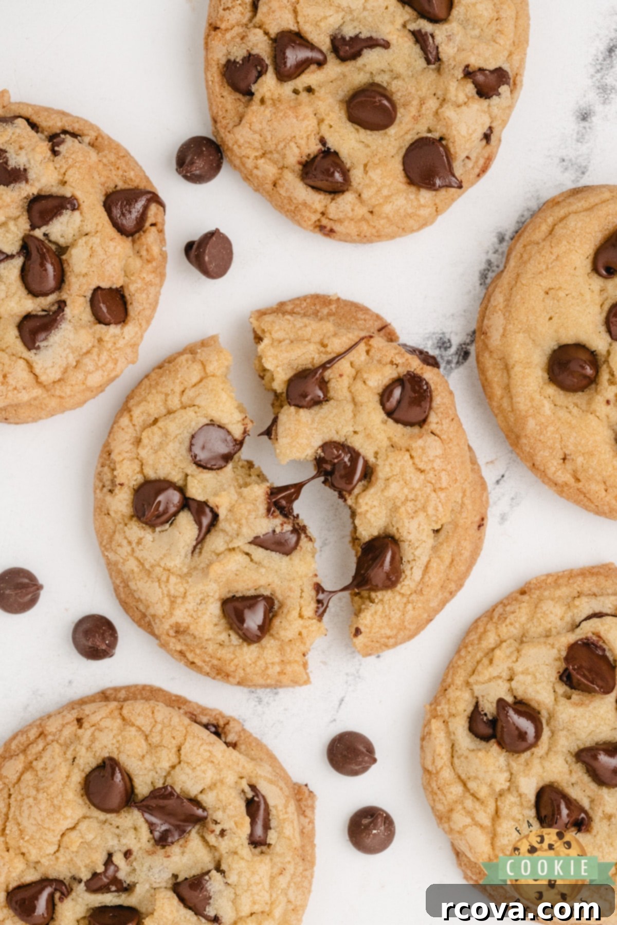 Decadent Chocolate Chip Delight 11 Close-up of a chocolate chip cookie torn in half showing gooey, melty chocolate chips and a soft, chewy center.