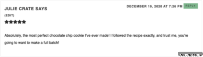 Decadent Chocolate Chip Delight 3 Customer review praising the chocolate chip cookie recipe.