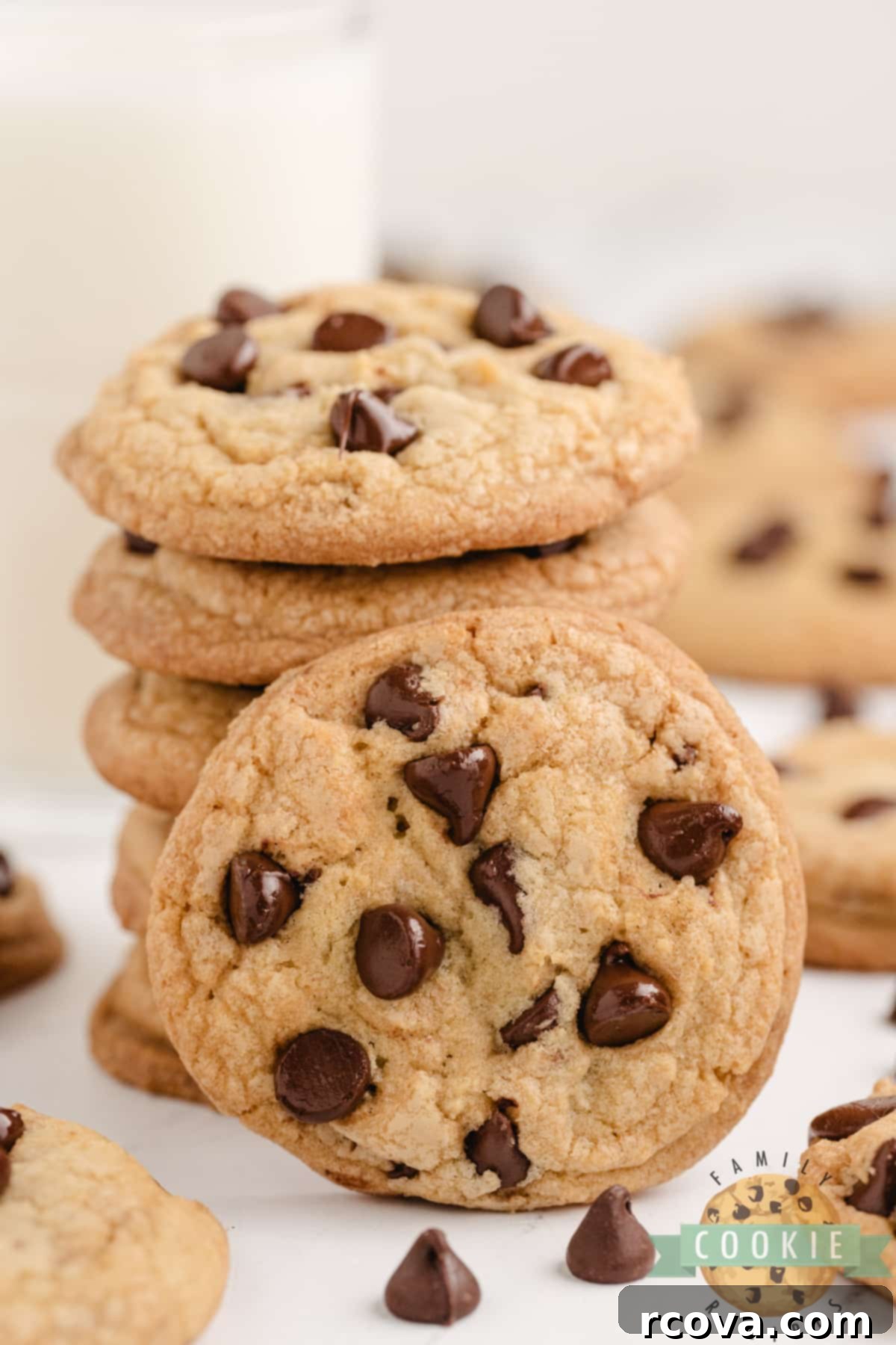 Decadent Chocolate Chip Delight 7 Chewy chocolate chip cookies with crisp edges and soft centers.