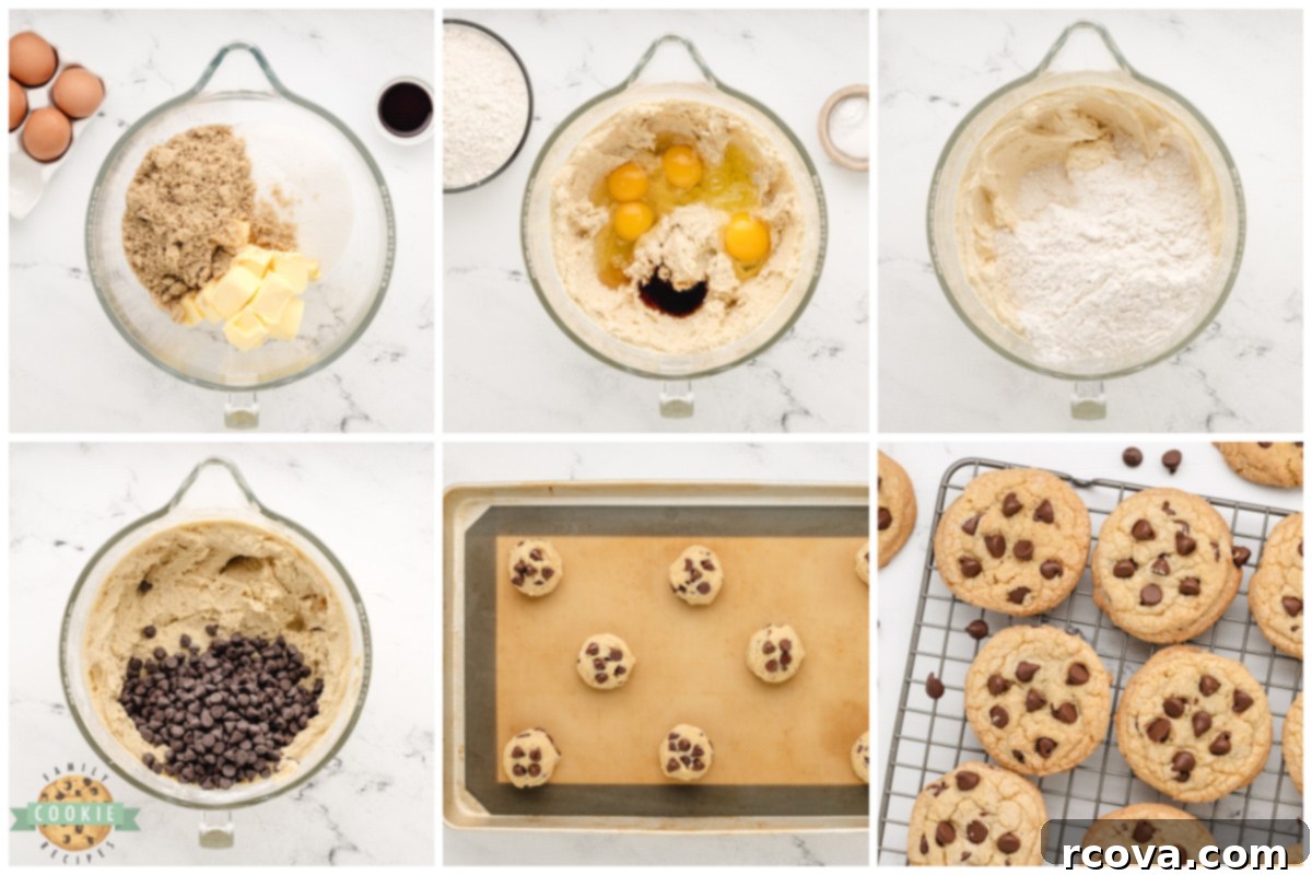Decadent Chocolate Chip Delight 8 Step by step instructions on how to make the best chocolate chip cookies.