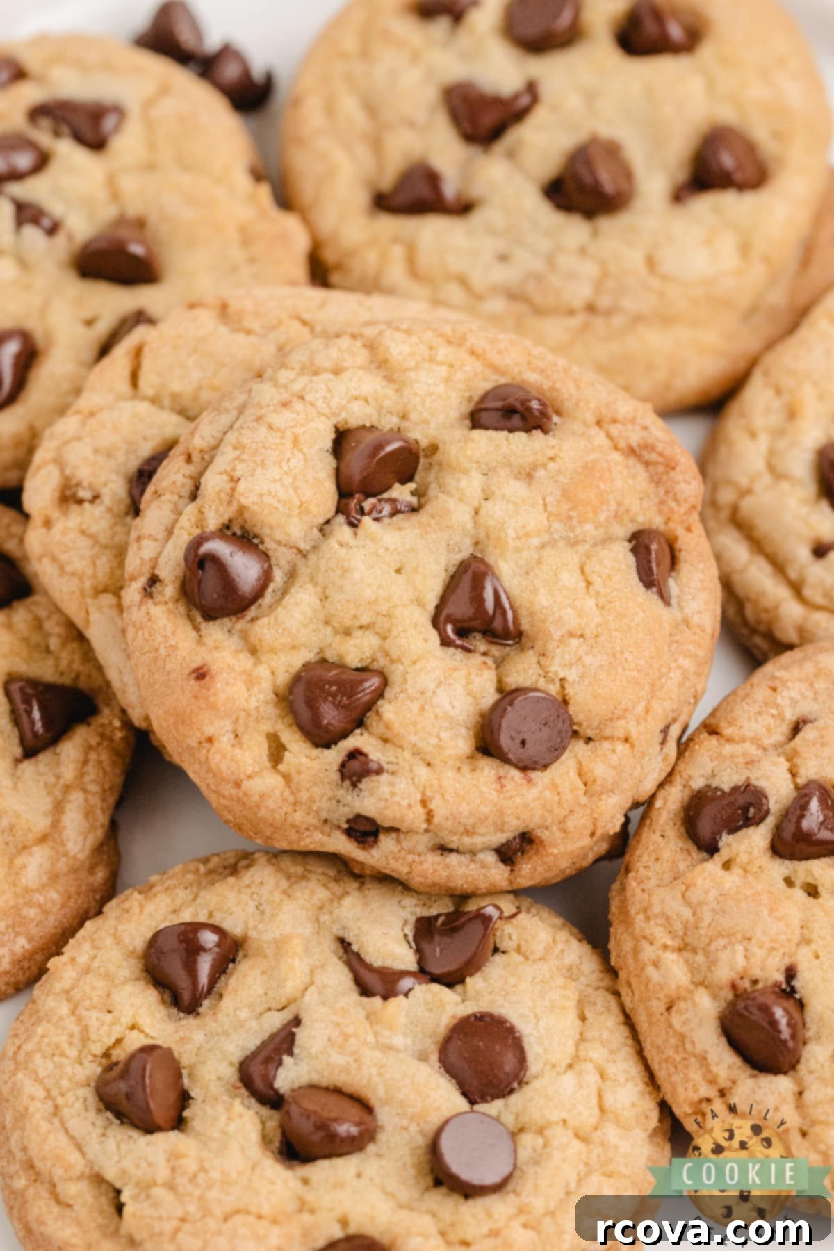 Decadent Chocolate Chip Delight 10 Thick, chewy chocolate chip cookies ready to eat.
