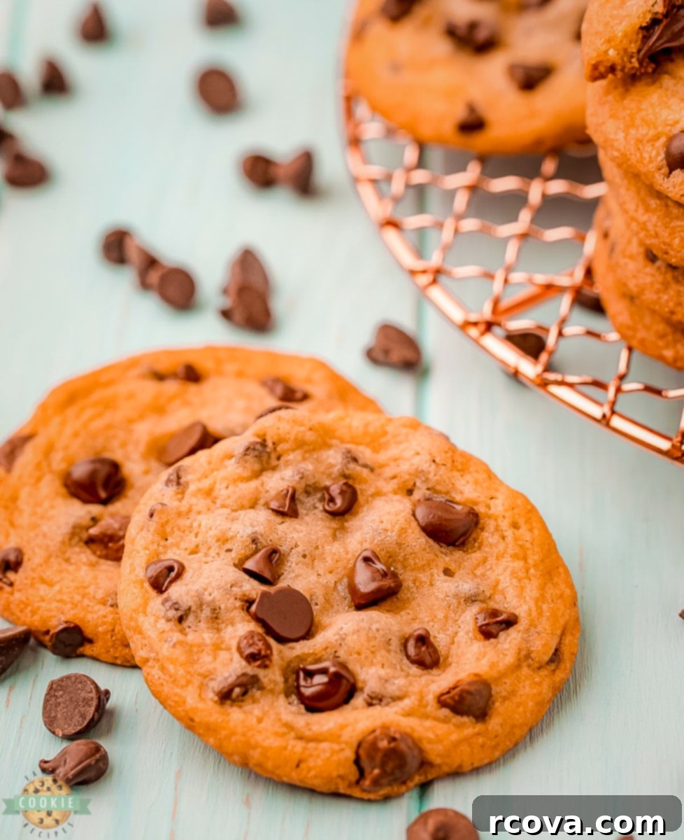 Irresistibly Chewy Chocolate Chip Cookies 3 img 6774 2
